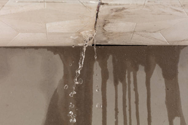 Professional Burst Pipe Cleanup technician working in Cropseyville, NY